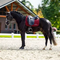 Equestrian Stockholm Zadeldekje Line Dressuur Bordeaux