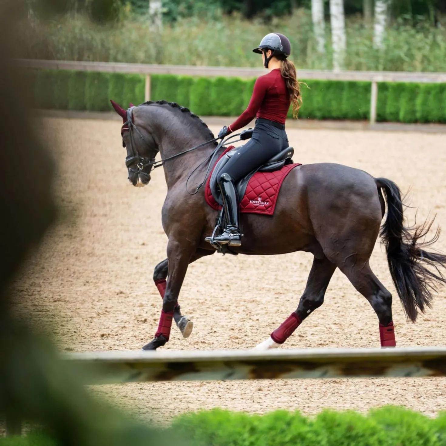 Equestrian Stockholm Zadeldekje Line Dressuur Bordeaux