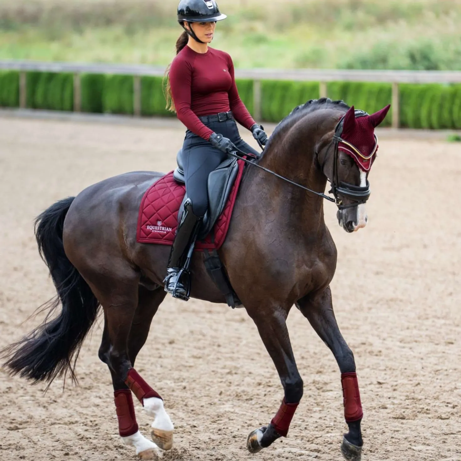 Equestrian Stockholm Zadeldekje Line Dressuur Bordeaux
