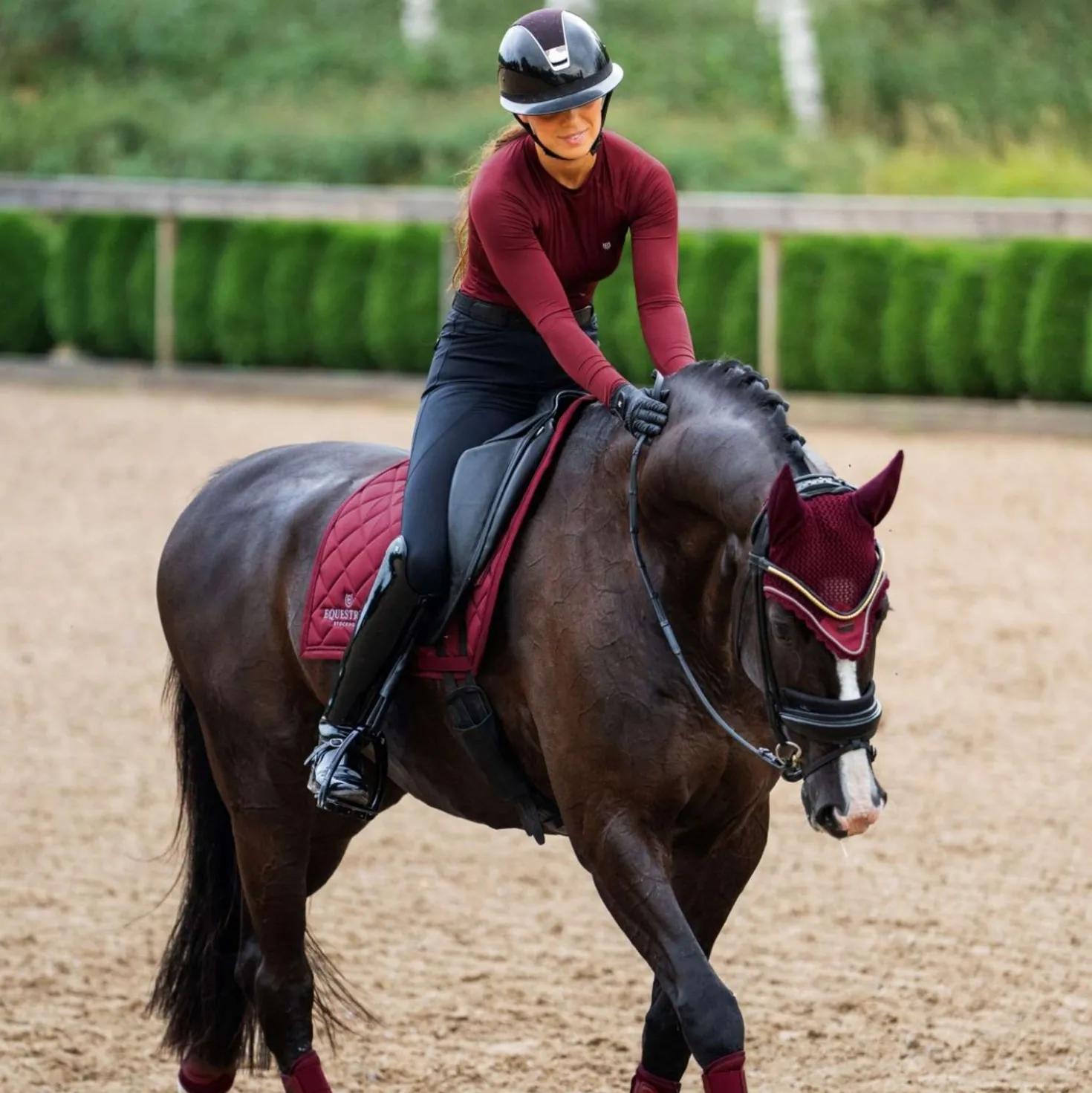 Equestrian Stockholm Zadeldekje Line Dressuur Bordeaux
