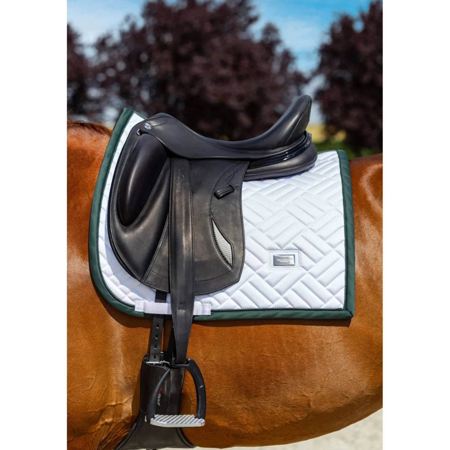 Equestrian Stockholm Zadeldekje Modern Dressuur Wit/Sycamore Green