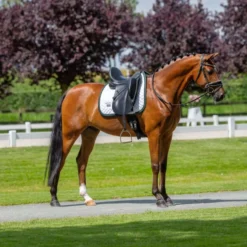 Equestrian Stockholm Zadeldekje Modern Dressuur Wit/Sycamore Green