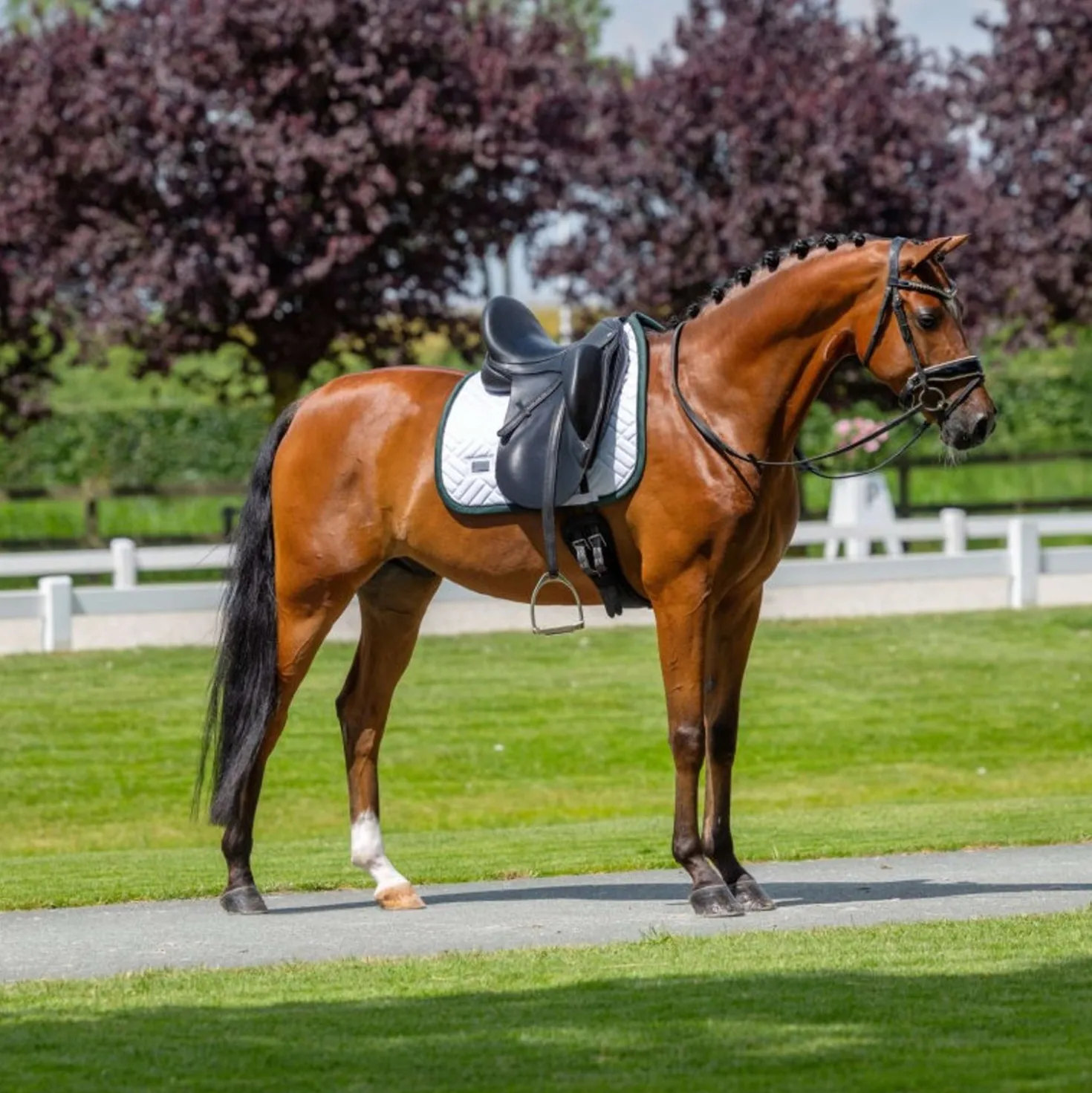 Equestrian Stockholm Zadeldekje Modern Dressuur Wit/Sycamore Green