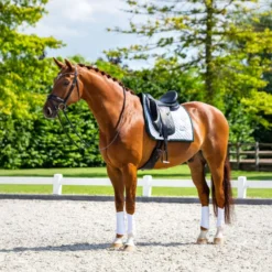 Equestrian Stockholm Zadeldekje Modern Dressuur Wit/Sycamore Green