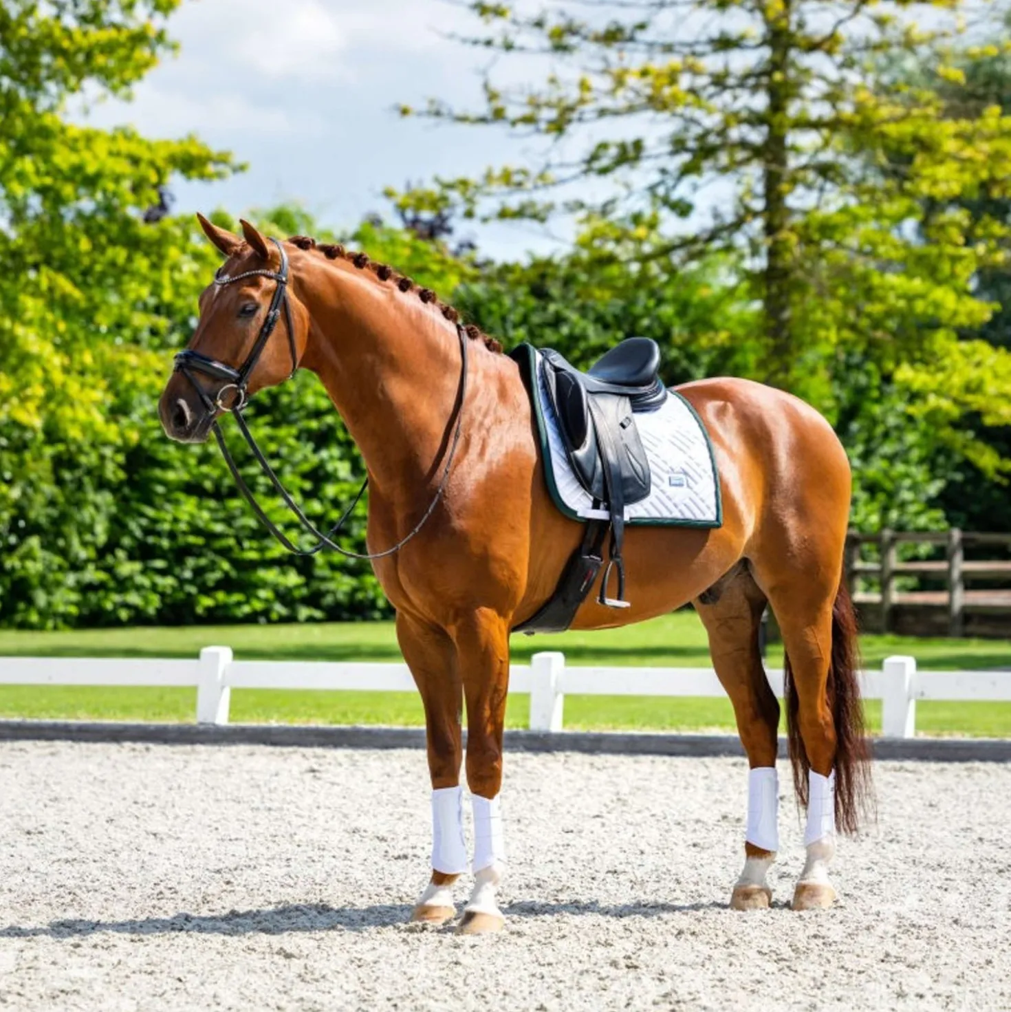 Equestrian Stockholm Zadeldekje Modern Dressuur Wit/Sycamore Green
