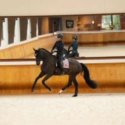 Equestrian Stockholm Zadeldekje Dressuur Pink Glimmer