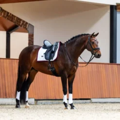 Equestrian Stockholm Zadeldekje Modern Dressuur Wit/Merlot