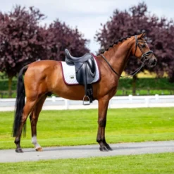 Equestrian Stockholm Zadeldekje Modern Dressuur Wit/Merlot