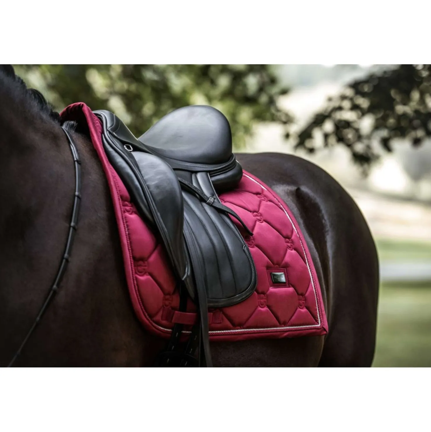 Equestrian Stockholm Zadeldekje Dressuur Bordeaux