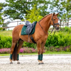 Equestrian Stockholm Zadeldekje Velvet Dressuur Sycamore Green