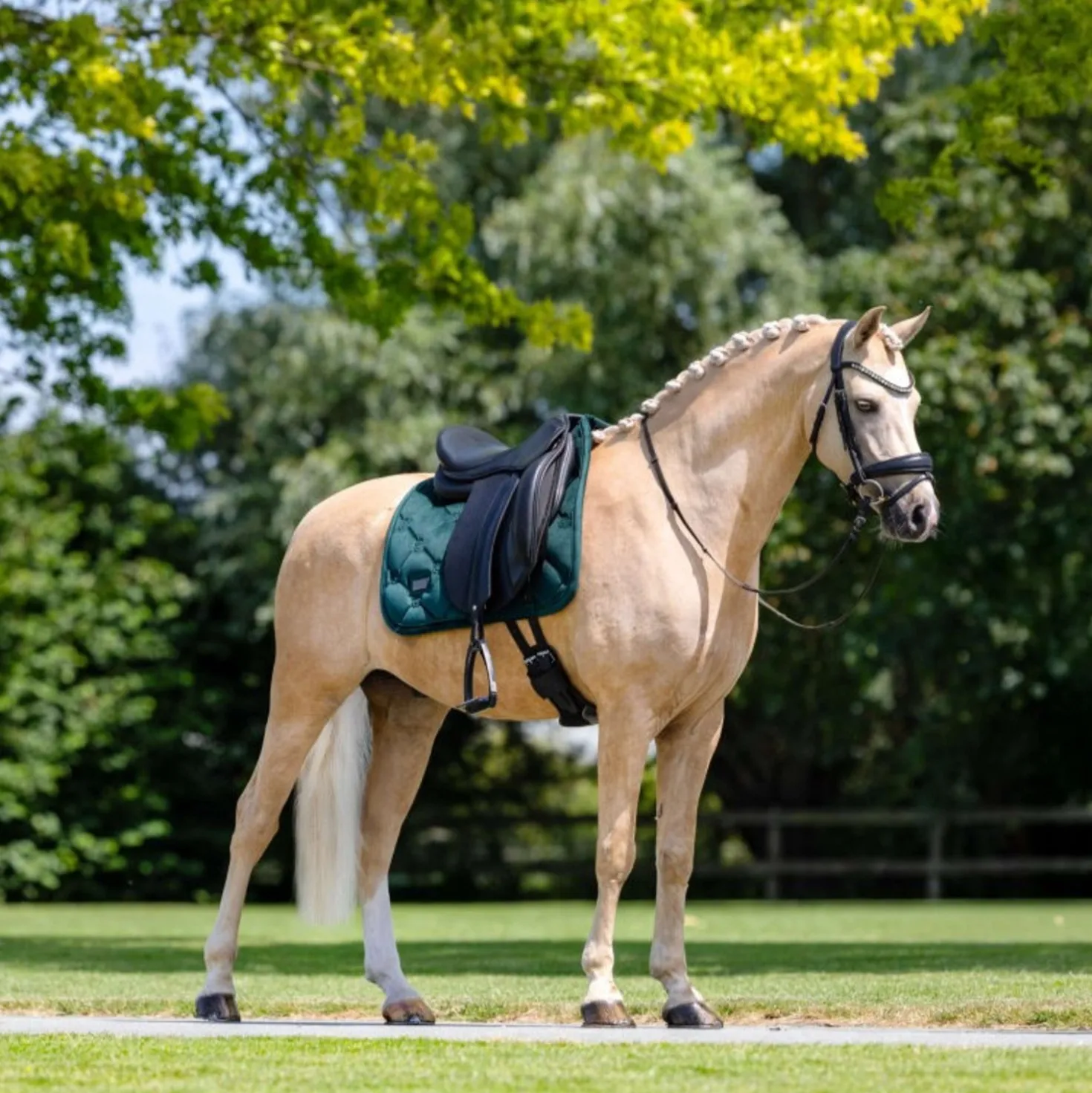 Equestrian Stockholm Zadeldekje Velvet Dressuur Sycamore Green