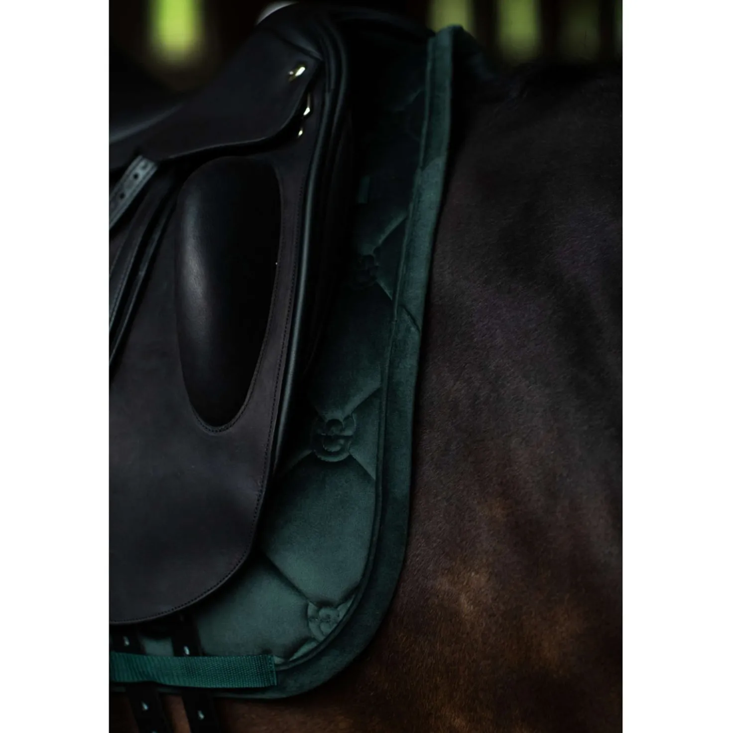 Equestrian Stockholm Zadeldekje Velvet Dressuur Sycamore Green