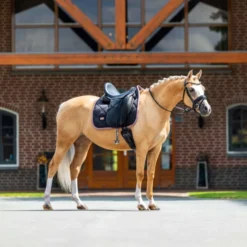Equestrian Stockholm Zadeldekje Dressuur Zwart/Blush