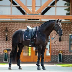 Equestrian Stockholm Zadeldekje Dressuur Zwart/Blush