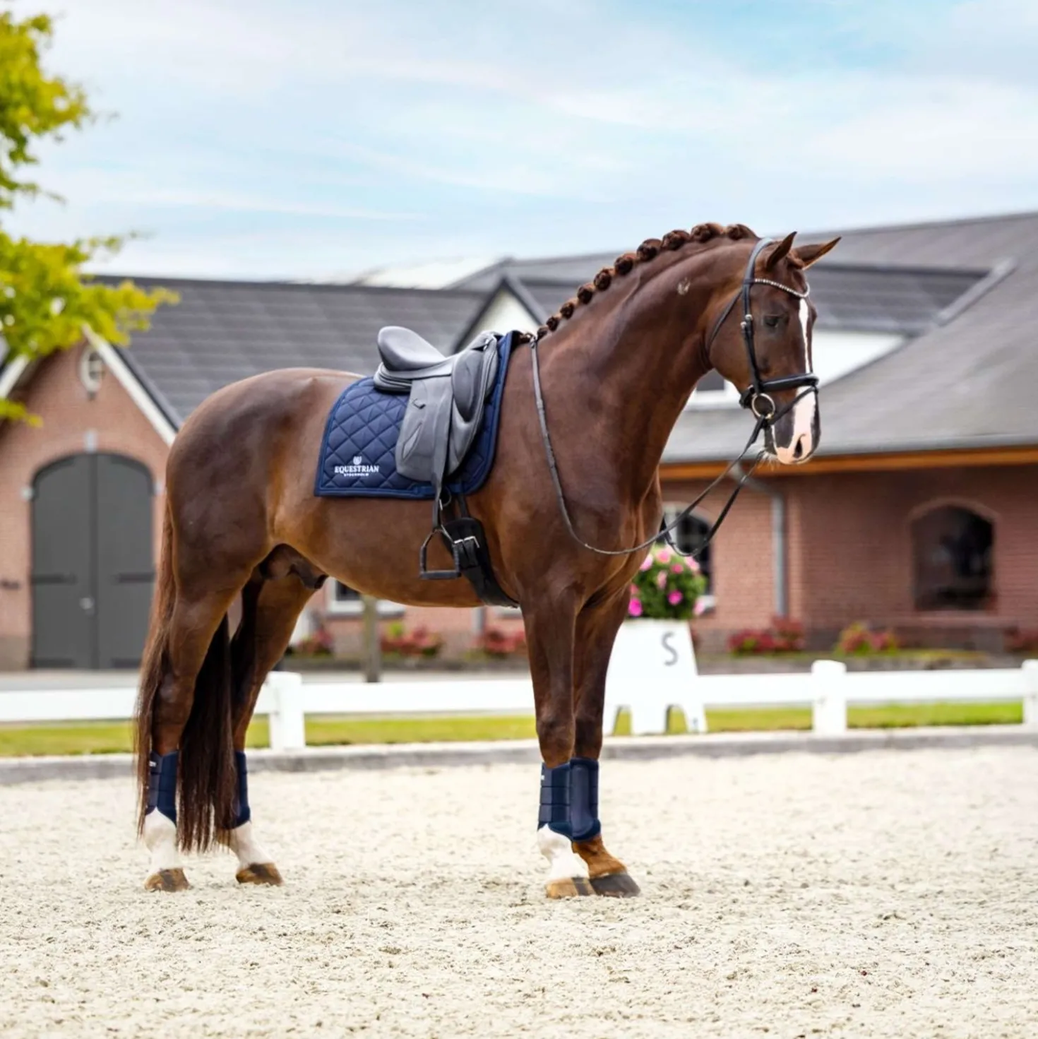 Equestrian Stockholm Zadeldekje Line Dressuur Navy