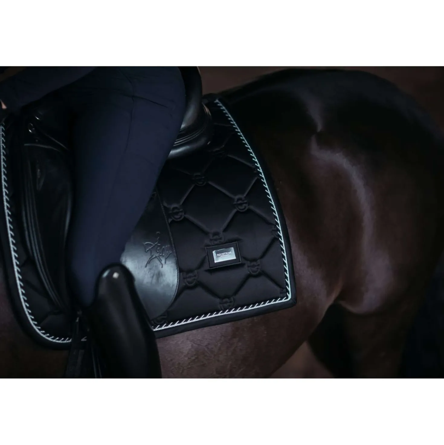 Equestrian Stockholm Zadeldekje Dressuur Black Edition