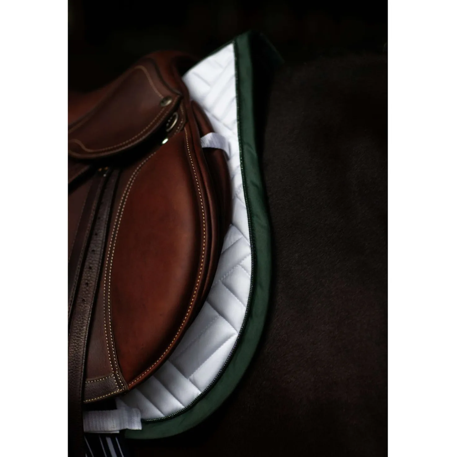 Equestrian Stockholm Zadeldekje Modern Springen Wit/Sycamore Green