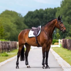 Equestrian Stockholm Zadeldekje Modern Springen Wit/Sycamore Green