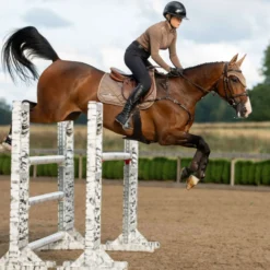 Equestrian Stockholm Zadeldekje Line Springen Champagne