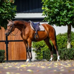 Equestrian Stockholm Zadeldekje Line Springen Champagne