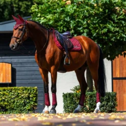 Equestrian Stockholm Zadeldekje Line Springen Bordeaux
