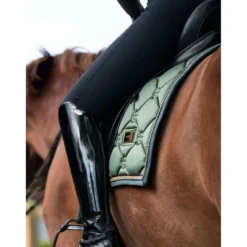 Equestrian Stockholm Zadeldekje Dressuur Striking Valley