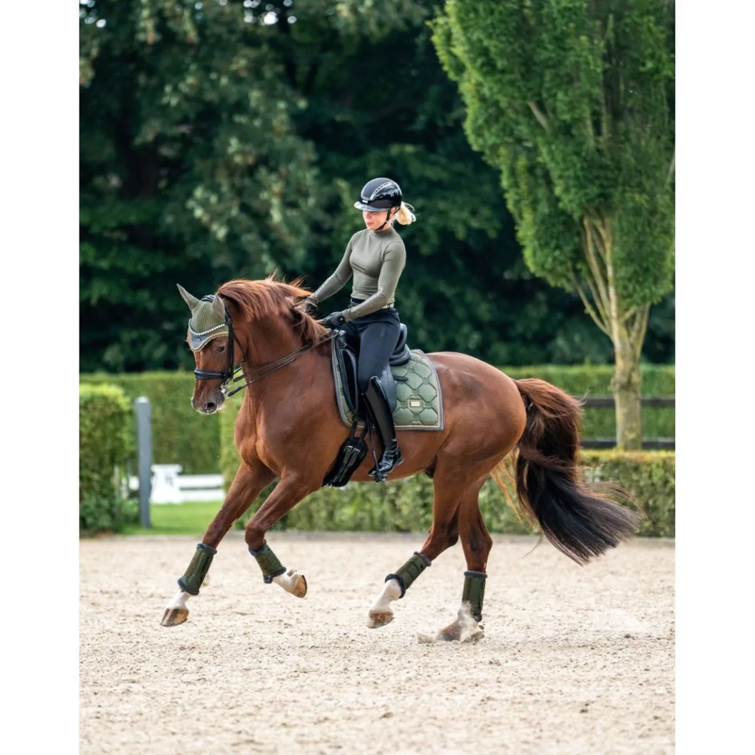 Equestrian Stockholm Zadeldekje Dressuur Striking Valley