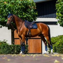 Equestrian Stockholm Zadeldekje Line Springen Navy