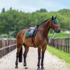 Equestrian Stockholm Zadeldekje Satin Springen Sycamore Green