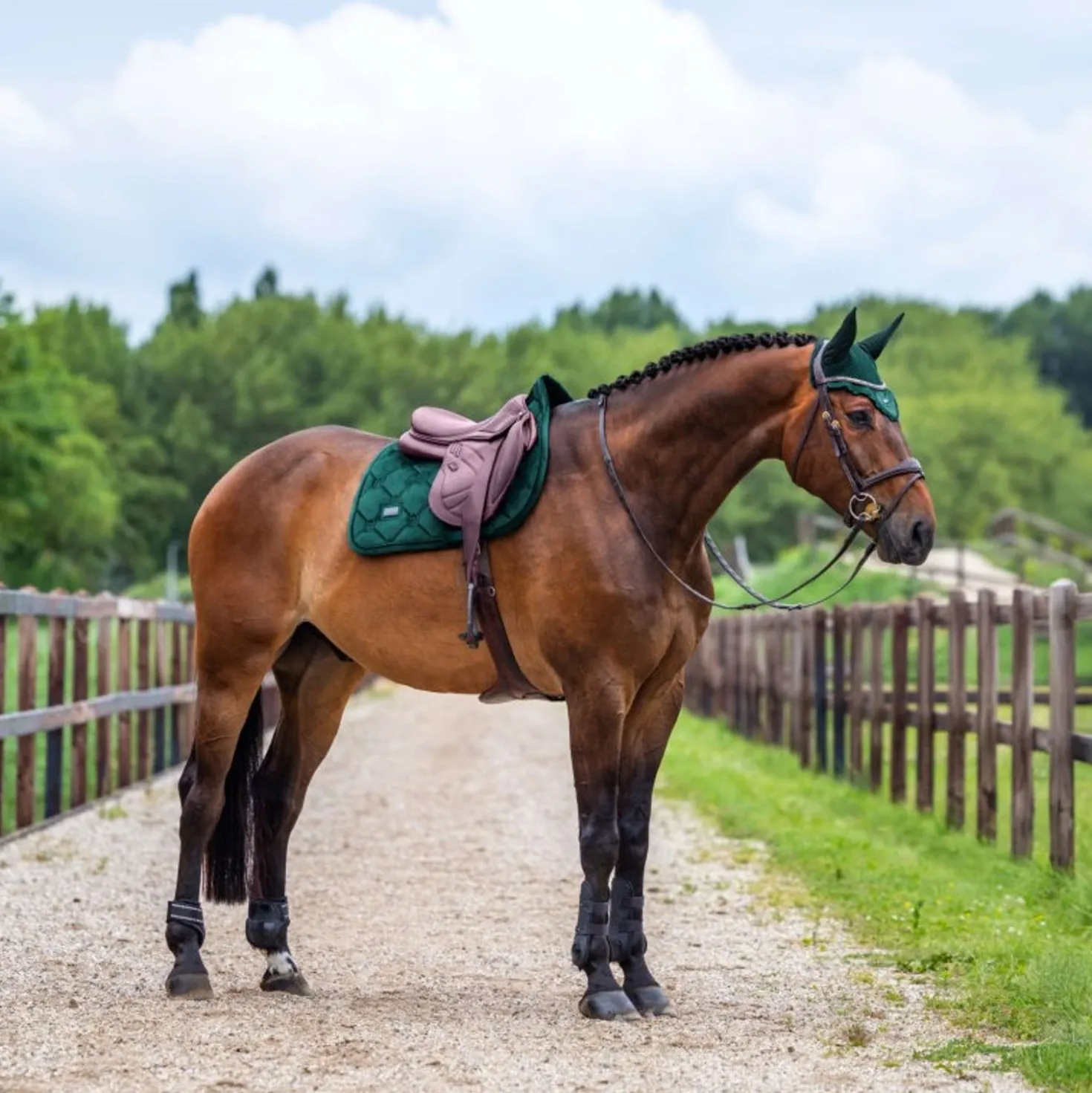 Equestrian Stockholm Zadeldekje Velvet Springen Sycamore Green
