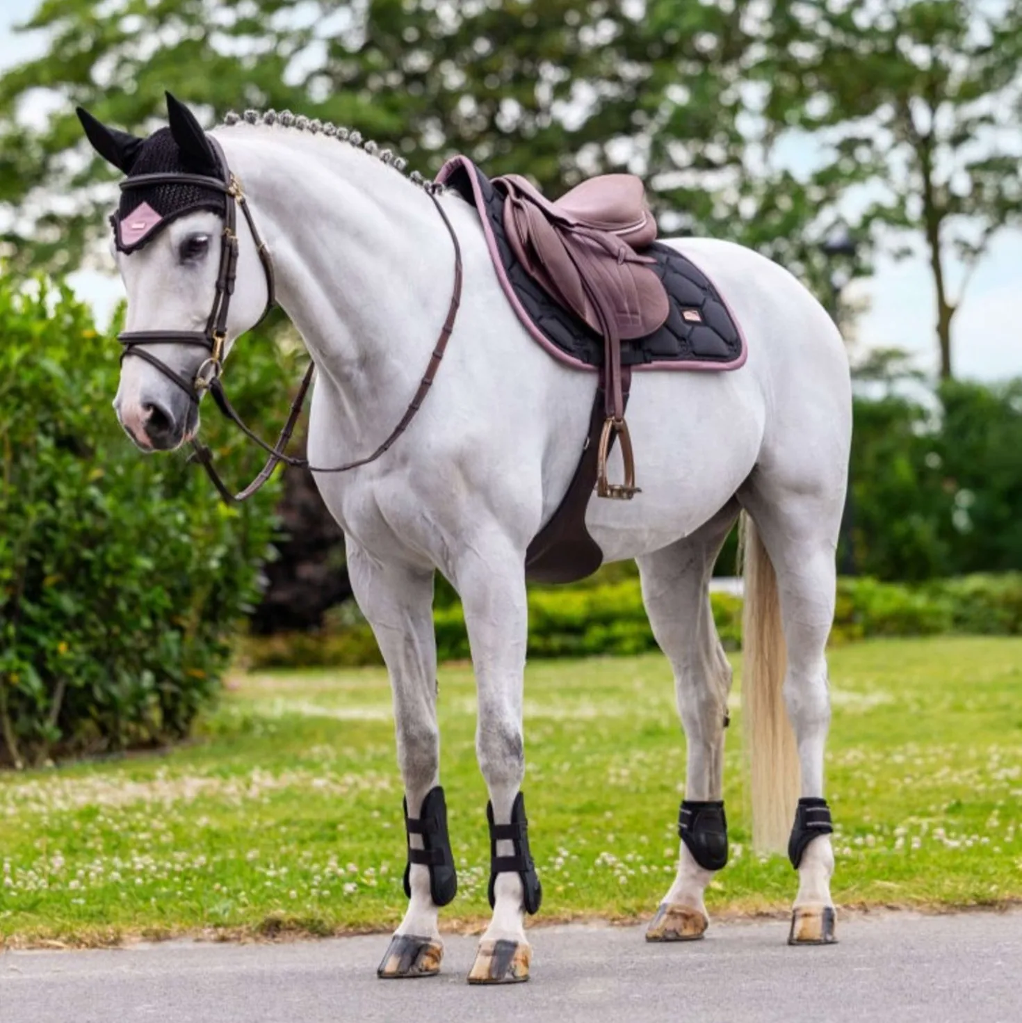 Equestrian Stockholm Zadeldekje Springen Zwart/Blush