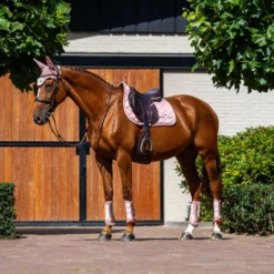Equestrian Stockholm Zadeldekje Line Springen Roze