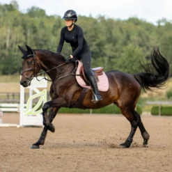 Equestrian Stockholm Zadeldekje Line Springen Roze