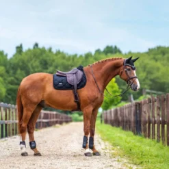 Equestrian Stockholm Zadeldekje Velvet Springen Zwart