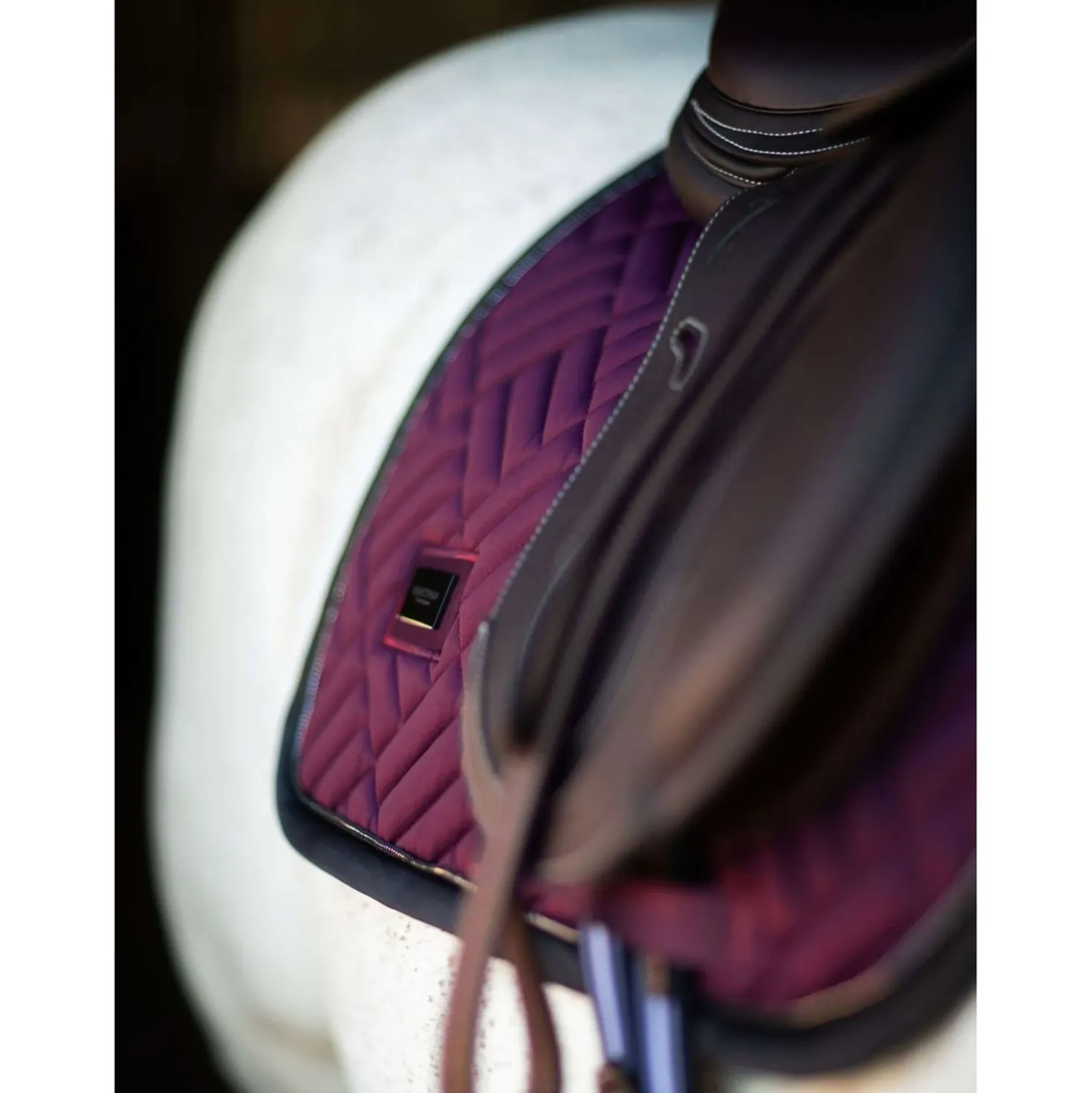 Equestrian Stockholm Zadeldekje Modern Springen Purple Night