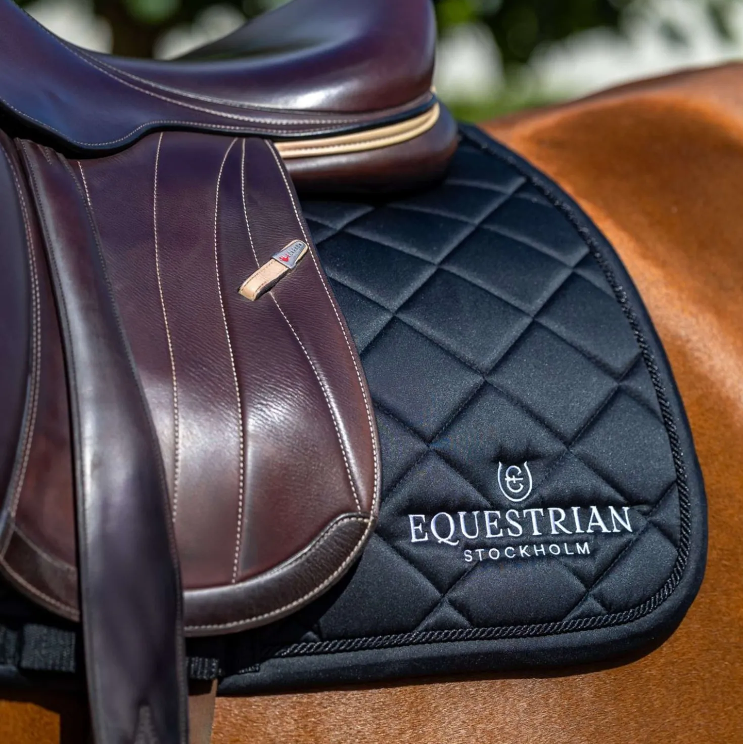 Equestrian Stockholm Zadeldekje Line Springen Zwart
