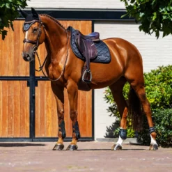 Equestrian Stockholm Zadeldekje Line Springen Zwart