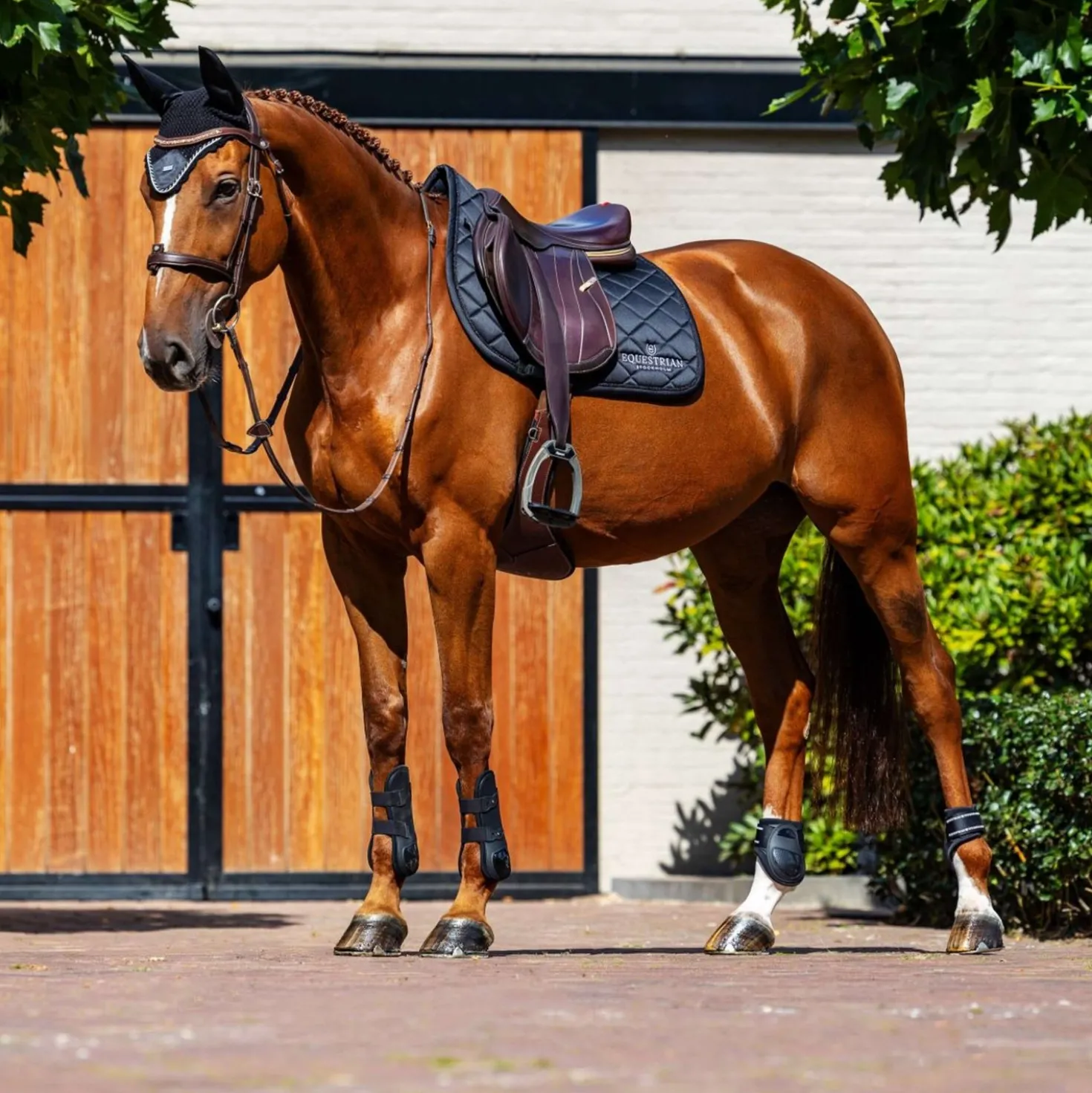 Equestrian Stockholm Zadeldekje Line Springen Zwart