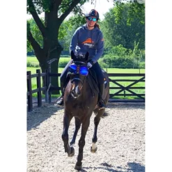 eQuick Bril eVysor Blauw