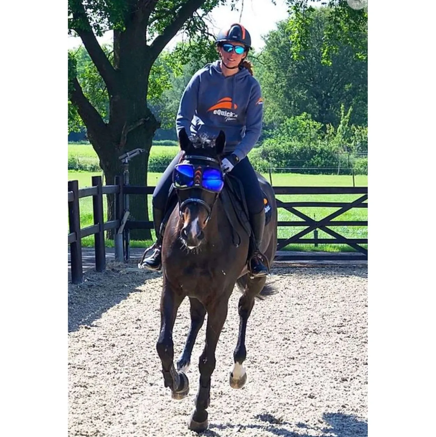 eQuick Bril eVysor Blauw