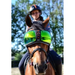 eQuick Brillenglazen for eVysor Groen