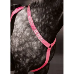 Equi-Flector by Shires Borststuk Reflecterend Fluor Roze