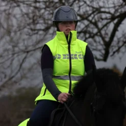 Equi-Flector by Shires Reflectiehesje Geel