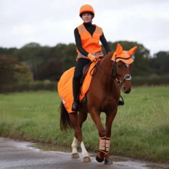 Equi-Flector by Shires Uitrijdeken Mesh Reflecterend Oranje