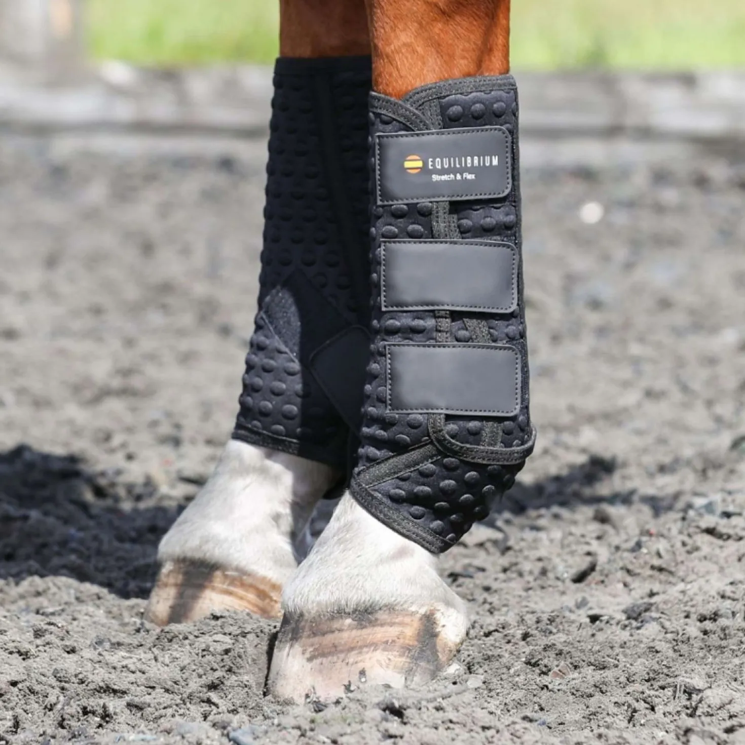 Equilibrium Beenbeschermers Stretch & Flex Training Zwart