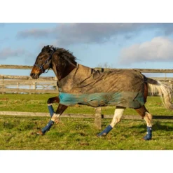 Equilibrium Beenbeschermers Equi-Chaps Hardy Navy