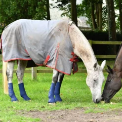 Equilibrium Beenbeschermers Equi-Chaps Hardy Navy