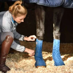 Equilibrium Beenbeschermers Equi-Chaps Stable Navy