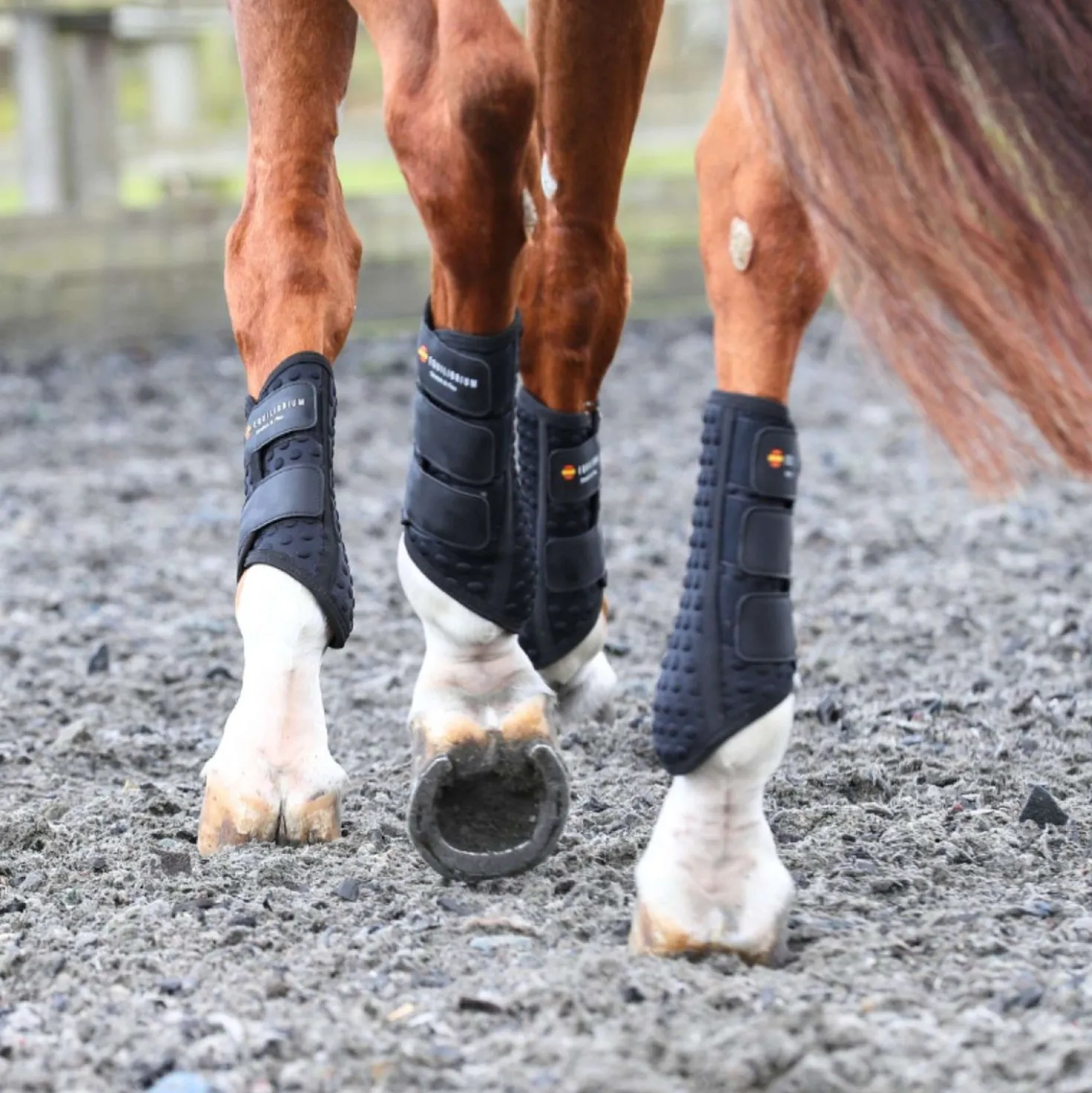 Equilibrium Beenbeschermers Stretch & Flex Flatwork Zwart