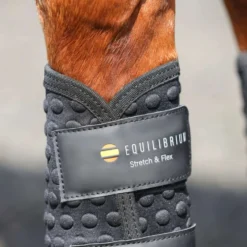 Equilibrium Beenbeschermers Stretch & Flex Flatwork Zwart